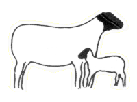 �ber uns